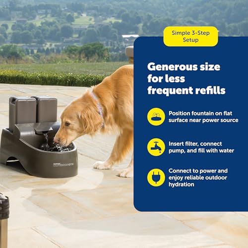 PetSafe Drinkwell Outdoor Dog Fountain - Encourages Drinking - Replaceable Carbon Filter - UV Resistant Plastic - BPA-Free...