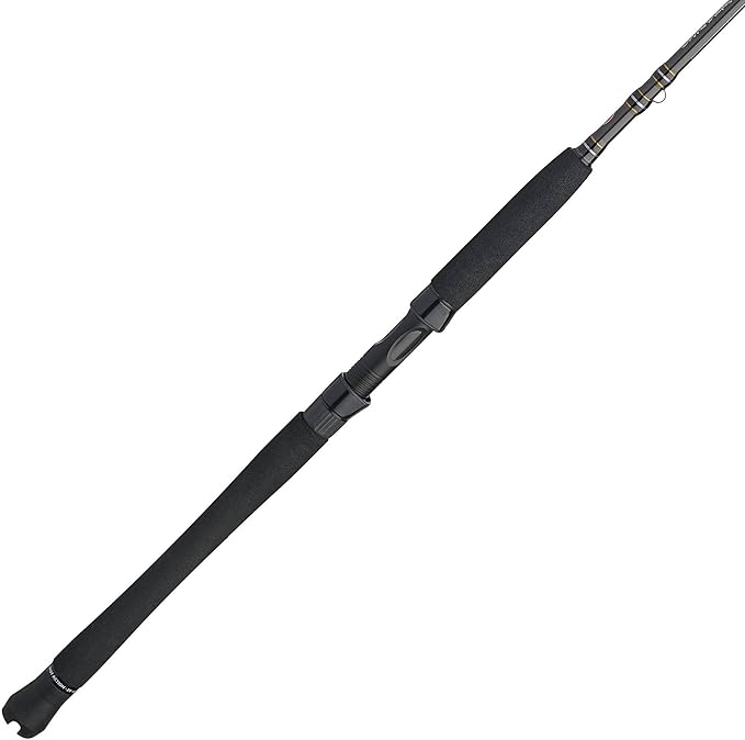 Penn Carnage III Inshore Spinning Fishing Rod