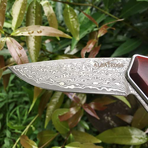 ALBATROSS Premium Damascus Folding Knife - EDC Pocket Knife with Cocobolo Wood Handle, 3.5" Blade, Liner Lock System - Out...