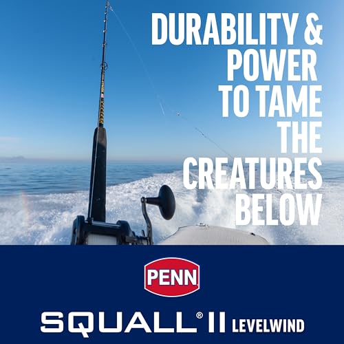 Penn 6'6" Squall II Level Wind Saltwater Rod and Reel Fishing Combo, 1-Piece Fishing Rod, Black/Gold