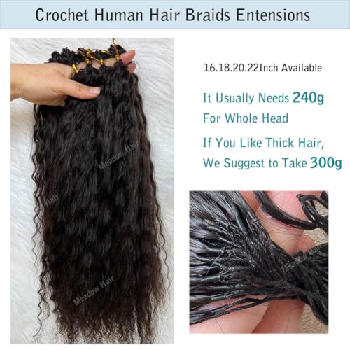 Knotless Crochet Human Hair Braids Extensions Pre Separated Wet and Wavy Brazilian Virgin Human Hair Braiding Bundles With Threading for Black Women Micro Link Meadow Hair 18inch 60g