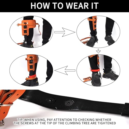TraVisonyx Tree Climbing Gear, Tree Climbing Spikes，Arborist Equipment for Climbers, Hunting, Fruit Picking ，Logging Etc