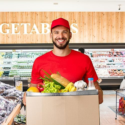 ZEAYEA 10 Pack Insulated Shipping Bags, 13.2" x 8.7" x 13.2" Thermal Box Liners for Frozen and Hot Food, Large Waterproof ...