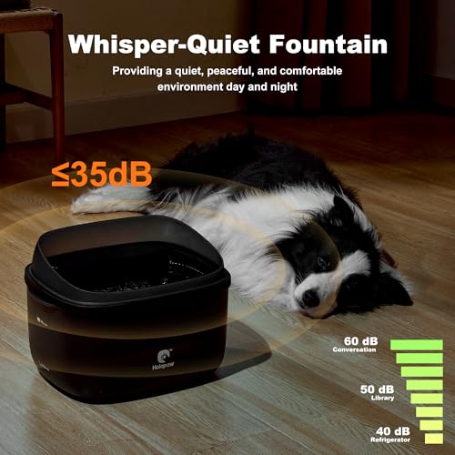 HOLAPAW Dog Water Fountain for Large Dogs, 2.1Gal/8L Dog Water Bowl Dispenser, No Spill Automatic Pet Water Fountain for D...