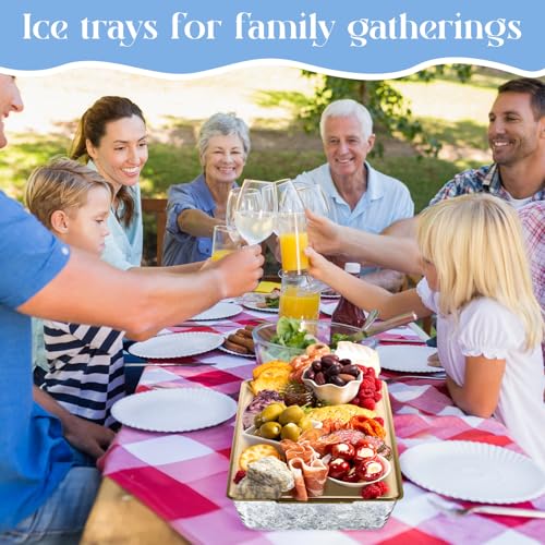 Baderke 1 Set 16" x 9.45'' Chilled Serving Tray for Parties with Compartments Rectangle Serving Dish Ice Charcuterie Party...