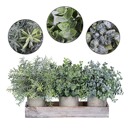 Winlyn Set of 3 Mini Potted Artificial Eucalyptus Plants Faux Rosemary Plant Assortment with Wood Planter Box for Indoor O...