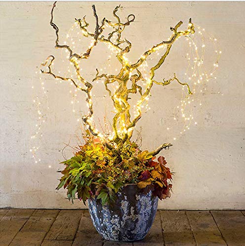 Lxcom Lighting Fairy Lights Plug in 6.56Ft*14 Strands 280 LEDs Twinkle String Lights Branch Lights Decoration for Garden Home Party Wedding Decorations(Warm White)