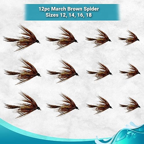 Feeder Creek Fly Fishing Flies 12pc March Brown Spider Nymph Flies | Flies for Fly Fishing | 4 Size Fly Fishing Assortment...