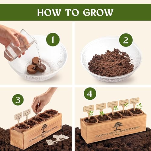 DIY Bonsai Tree Kit for Beginners – 5X Unique Japanese Bonzai Trees | Complete Indoor Bonsai Starter Kit for Growing Bonsa...