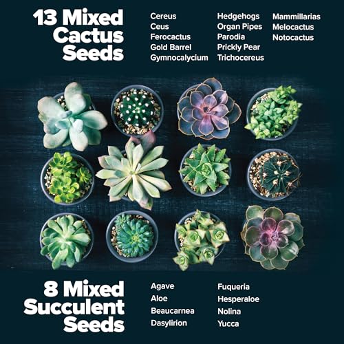 HOME GROWN Succulent & Cactus Seed Kit for Planting – [Enthusiasts Favorites] Premium Cactus & Succulent Starter Kit: 4 Pl...