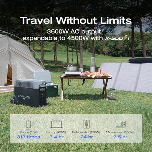 EF ECOFLOW Solar Generator 3.6KWh DELTA Pro with 2X400W Portable Solar Panel, 23% High Efficiency, 5 AC Outlets, 120V/3600...