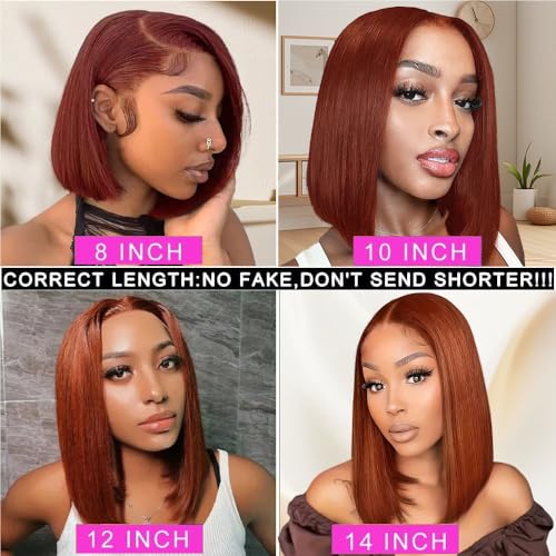 16 Inch Reddish Brown Bob Wigs Human Hair 13X4 Straight HD Transparent #33 Reddish Brown Bob Lace Front Wigs Human Hair Wear and Go Glueless Wig Pre Plucked Colored Hd Lace Frontal Wig for Black Women