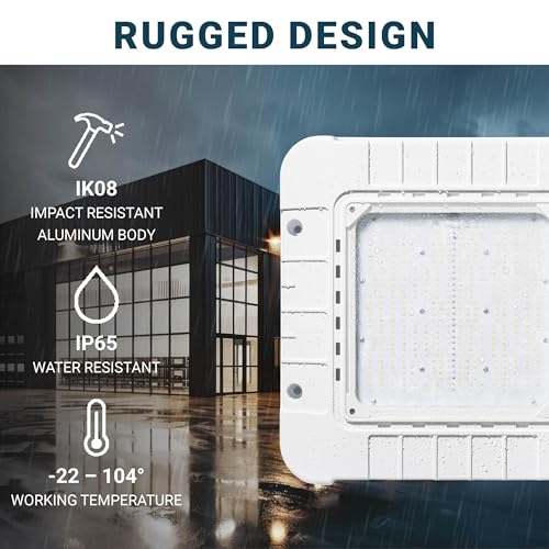 Parmida LED Canopy Light, Wattage Selectable (200/250/300W), ETL, 0-10V Dimmable, 100-277VAC, IP65 Waterproof, 5700K, 16....