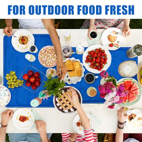 Reallnaive 2 Pcs Reusable Freezable Ice Mat for Buffet Table Chilled Serving Tray Party 19.69 x 15.75 Inches Charcuterie C...