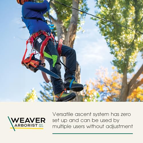 Weaver Arborist Nylon Foot Ascender Tree Climbing Sling, Short, HAAS Velox Rope Ascender System, Zero Setup, Durable Arbor...