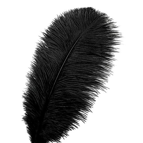 24pcs Natural Black Ostrich Feathers 10-12inch (25-30cm) for Wedding Party Centerpieces，Flower Arrangement and Home Decora...