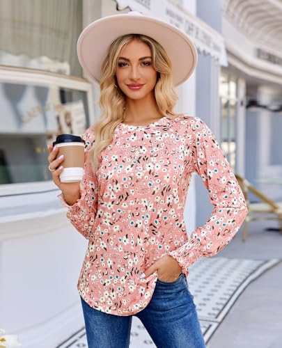 Womens Long Sleeve Shirts Spring Fashion Dressy Tops Cute Crewneck Blouses Casual Pleated Front Tunic Tops