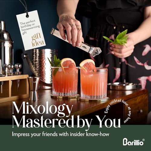 Barillio Bartender Kit - Stainless-Steel Cocktail Shaker Set w/Bamboo Stand - Mixology Bar Tools w/Drink Shaker, Mixer Spo...