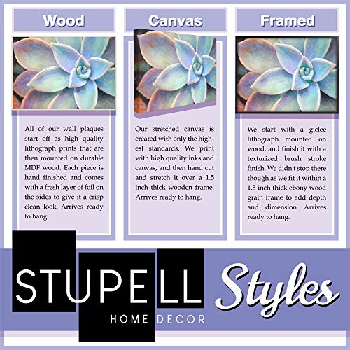 Stupell Industries La Toilette Aqua and Brown Scallop Shell Crest, Design by Bonnie Wrublesky White Framed Wall Art, 24 x 30