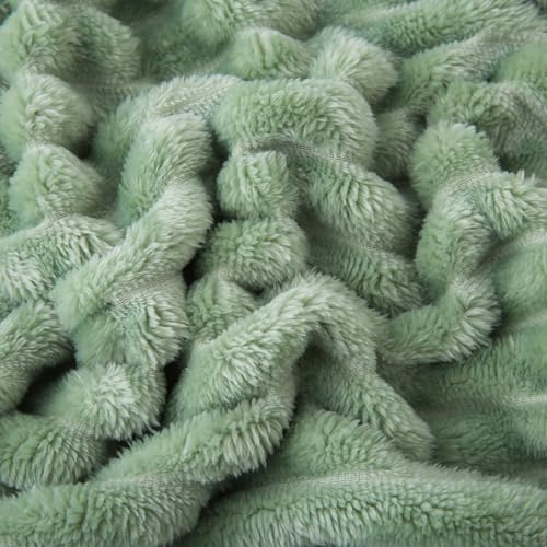 Linecooo Sage Green Fleece Throw Blanket 50”×60” for Couch Sofa Bed,Super Soft Cozy Plush Microfiber Flannel Blanket with ...