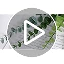 ABAJI Plastic Eucalyptus Golden Stems 12 Fake Faux Decorations Artificial Leaves Greenery Plant Leaf Home Office House Tab...