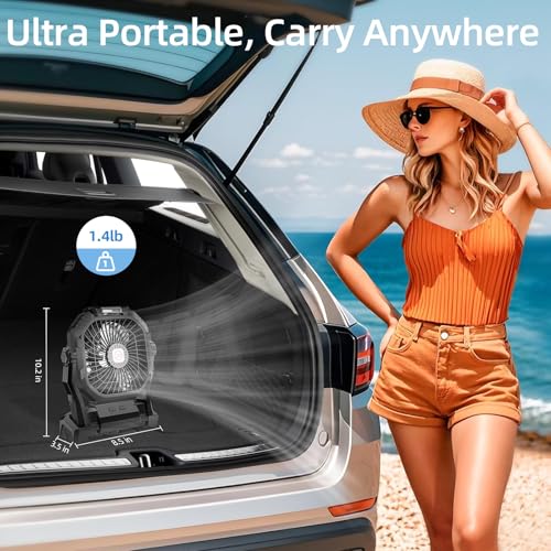 Camping Fan Rechargeable, 20000mAh Battery Powered Portable Fan with LED Light & Hook, 4-Speed 270° Adjustable, Camping Es...