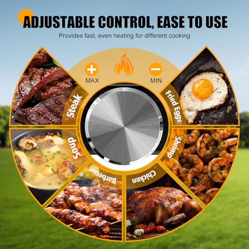 Camping Stove - 2-Burner Propane Camp Stove with Push-Button Instant Ignition,Adjustable Stove with Carry Bag & Handle for...
