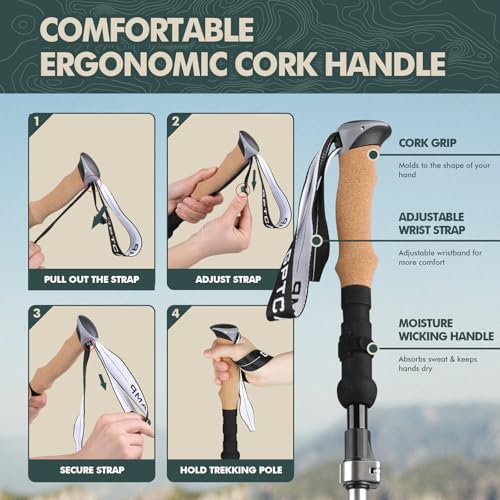GPTCAMP Nordic Walking Stick, TPZ-1, 2pc Folding Collapsible Hiking Poles with Metal Quick Lock, Cork Handle, Lightweight ...