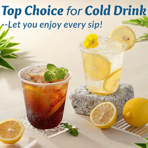 Homestockplus 12 oz Clear Plastic Cups 100 Pack - BPA-Free Stemless Disposable Wine Glasses, Open-Top Drink Cups for Iced ...