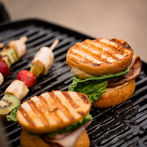 Weber Q1200 Liquid Propane Portable Gas Grill for Travel and Camping, 1 Burner, Titanium