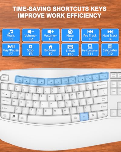 QUASIO Ergonomic Wireless Keyboard with Wrist Rest, Wave Keys, Comfortable Natural Typing, 2.4GHz Full Size Ergo Wireless ...
