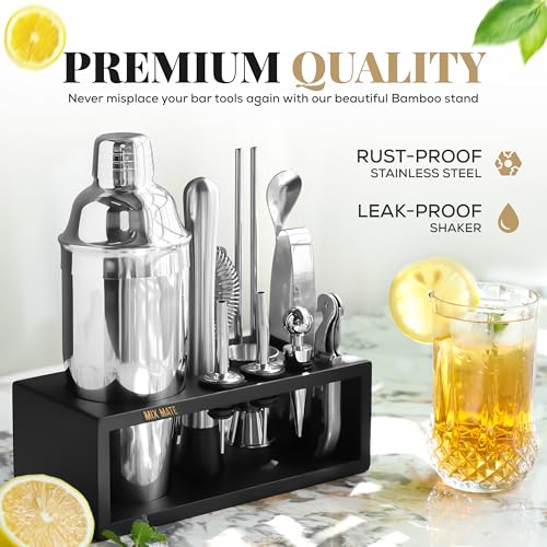 Mixology Bartender Kit with Stand - 15 Piece Bar Tool Set, Silver Bar Set Cocktail Shaker Set for Drink Mixing - Includes ...