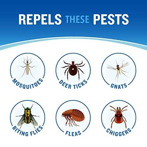 Cutter Dry Insect Repellent, Aerosol, 4-Ounce, 12-Count, Clear