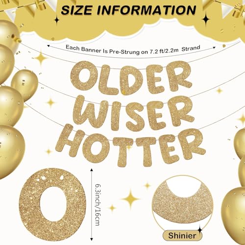 Fulmoon Set of 3 Pre Strung Older Wiser Hotter Glitter Banner Funny Birthday Banner for Women 30th 40th 50th 60th 70th 80t...