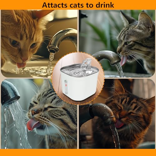 ANNAINUTC Cat Water Fountain, 2L/68oz Automatic Stainless Steel Pet Fountain Dog Water Dispenser with Replacement Filters...
