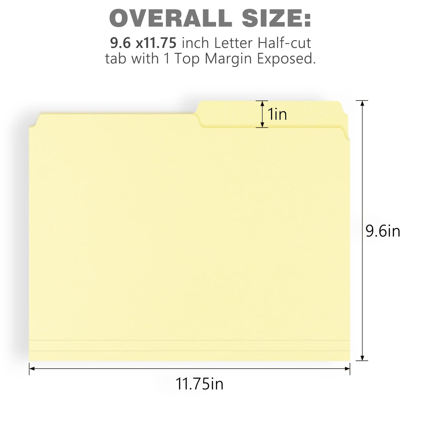 Lineco Archival Letter Size File Folders. Organize Important Documents, Prints, Photos. 9.5 X 11.75 With 1/2-Cut Tab, Acid-Free,