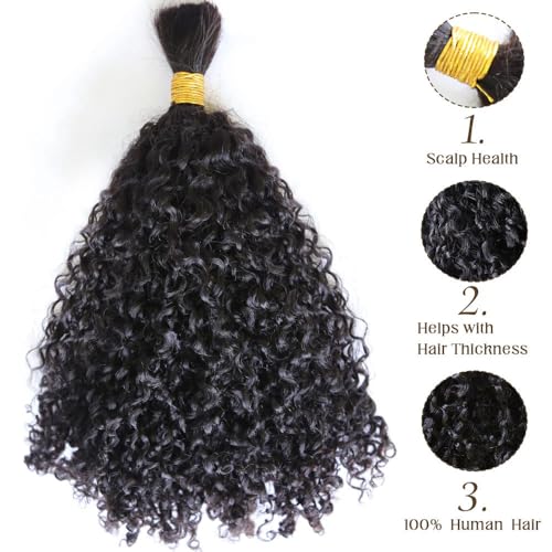 Afro Kinky Bulk Human Braiding Hair 100% Unprocessed Brazilian Virgin Human Hair Extensions Micro Kinky Curly Braids Hair Braids Double Drown Full End Bulk Hair 22 Inch 100g