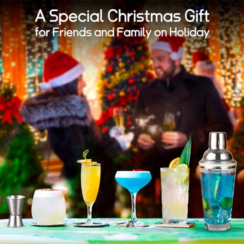 Ailelan Glass Cocktail Shaker with Strainer, 14oz Martini Shaker with 6 Recipes On Side, Clear Drink Shaker Bottle with Me...