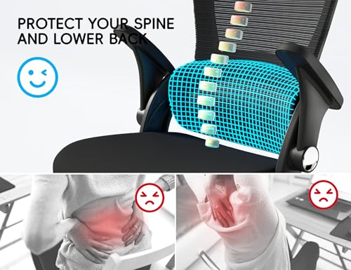 TRALT Office Chair - Ergonomic Office Chair with Back Support, Computer Chair - Home Office Desk Chair, 330 lbs Wide Seat ...