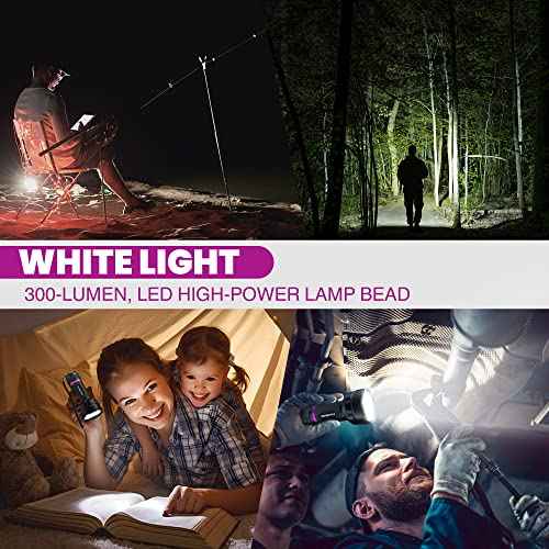 EverBrite LED Flashlight, Multifunctional Flashlight with UV and White Light, 395nm Black Light, 300 Lumens High Powered Flashlight for Camping, Emergencies, Pet Urine Stains, AA Batteries Included