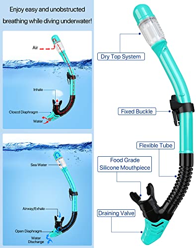 Ubekezele Snorkeling Gear for Adults Men Women,4 in 1 Snorkel Set with Panoramic View Diving Mask Anti-Fog Anti-Leak,Dry T...
