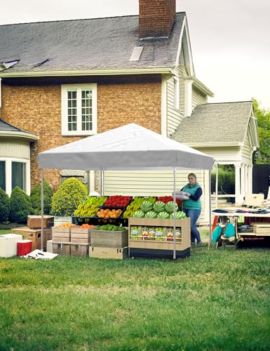 VerisShade 10x10 Pop Up Canopy Tent Outdoor Canopy with 3 Removable Sidewalls Heavy Duty Commercial Instant Tent Shelter W...