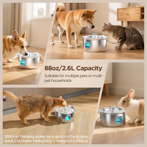 Cat Water Fountain Stainless Steel: 2.6L Cat Fountain for Drinking - Pet Water Fountain for Cats Indoor - Automatic Pet Wa...