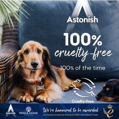 Astonish All In 1 Dishwasher Tablets - Household Cleaner Removes Grease, Grime, & Surface Stains - Dishwasher Soap with Salt & Rinse Aid, Cruelty Free Dishwasher Detergent, Lemon Fresh, 100 Pack