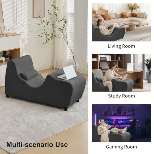 PUREMIND Chaise Lounge Chair Indoor, Ergonomic Zero Gravity Recliner with Pillow for Relaxing, Working, Reading in Living ...