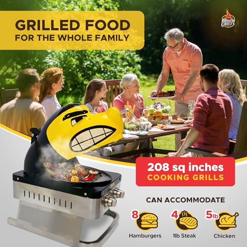 Hawkeye Portable Propane Gas Grill, 16,000 BTU Tabletop Barbecue with 2 Burners, Dual Temp Control for Tailgating, RV, Bac...