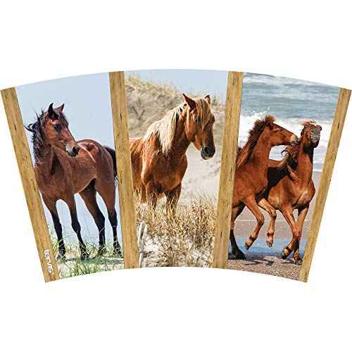 Tervis Coastal Wild Horses Made in USA Double Walled Insulated Tumbler Travel Cup Keeps Drinks Cold & Hot, 16oz, Classic