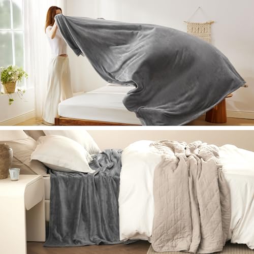 Bedsure GentleSoft Fleece Bed Blankets Queen Size Grey - Soft Warm Winter Blanket Lightweight Cozy Luxury Microfiber, Room...
