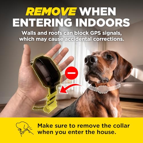 Dogtra GPS Fence – No Subscription, Custom Wireless Dog Fence with App, Smart Guidance & Return Reminder Tone/Vibration/Co...