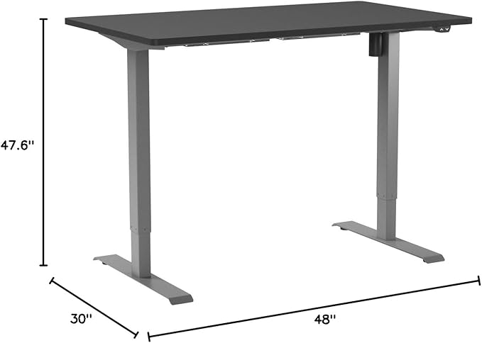 FLEXISPOT EN1 One-Piece Electric Height Adjustable Desk, 48 x 30 Inches Standing Desk Stand Up Desk Workstation (Silver Frame + 48 in Black Top, 2 Packages)